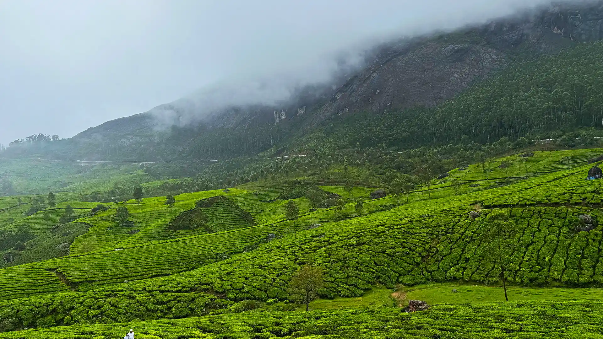 Green hills blanketed in mist below a rocky mountain face under an overcast sky