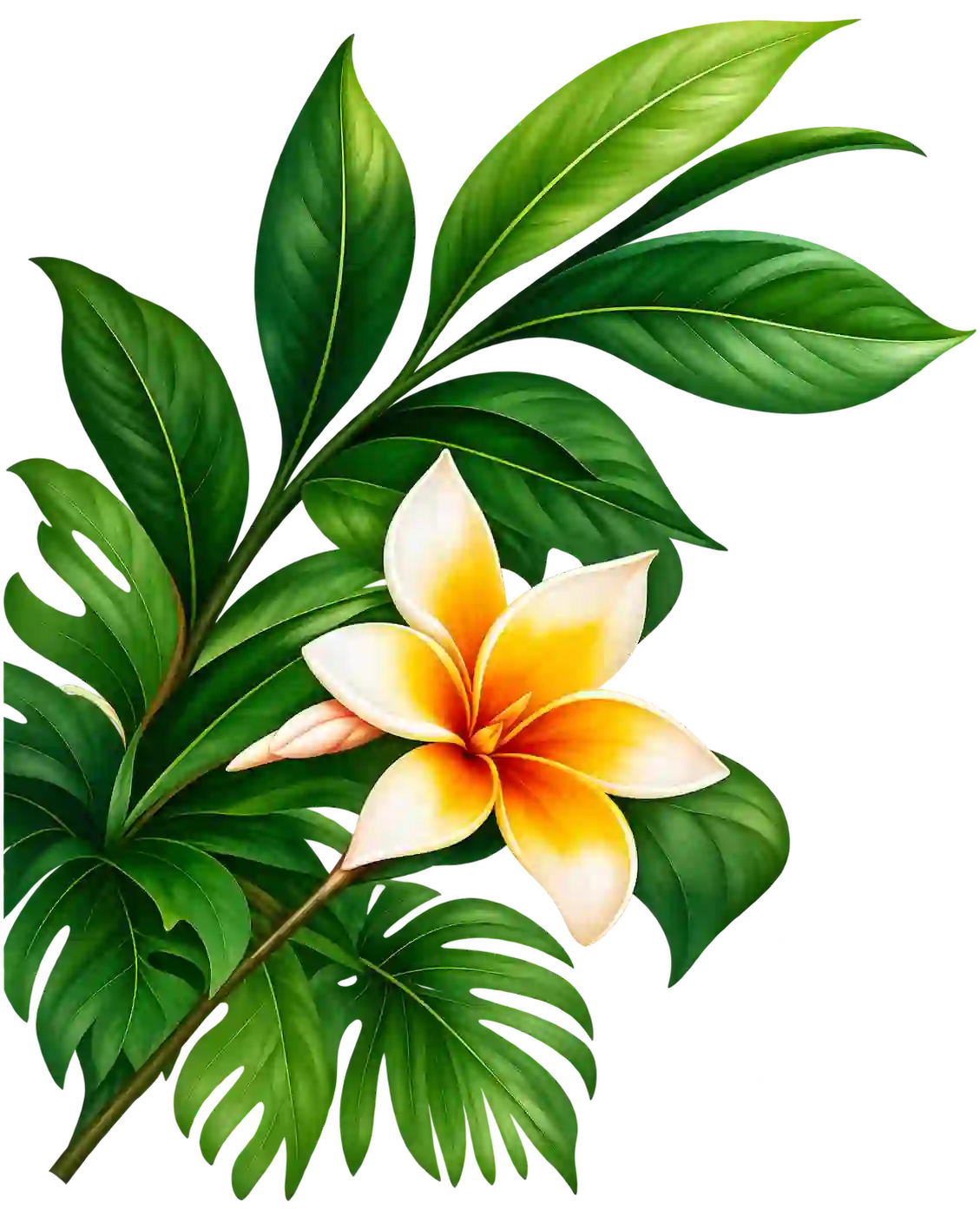 Decorative tropical leaves