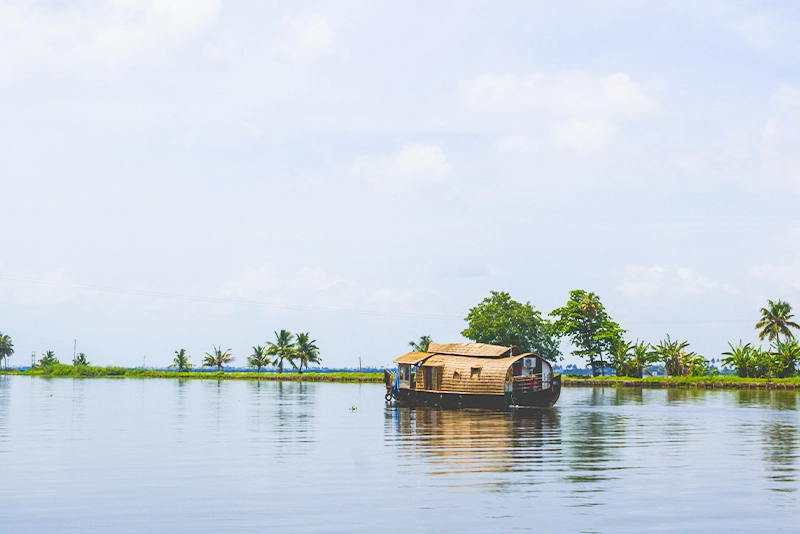 A thatched-roof houseboat on still water lined with palms